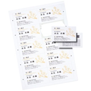 サンワサプライ マルチタイプまわりがきれいな名刺カード・標準(A4、10面、100シート1000カード入り) JP-MCCM01-1 商品画像