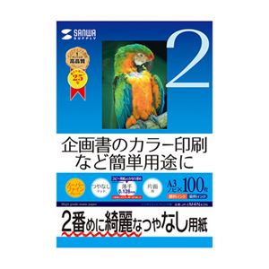 サンワサプライ インクジェットスーパーファイン用紙（A3ノビ） JP-EM4NA3N