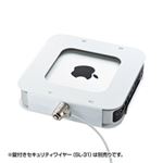 サンワサプライ Macminiセキュリティ（eセキュリティ） SLE-21SMM