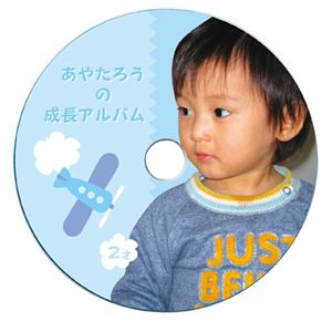 （まとめ）サンワサプライ インクジェットフォト光沢DVD／CDラベル（内径17mm） LB-CDR013N【×5セット】 - 拡大画像
