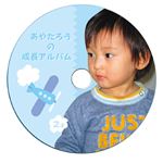 （まとめ）サンワサプライ インクジェットフォト光沢DVD／CDラベル（内径17mm） LB-CDR013N【×5セット】