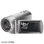 （まとめ）サンワサプライ 液晶保護フィルム（3.0型ワイドデジタルビデオカメラ用） DG-LC30WDV【×10セット】