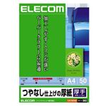 （まとめ）エレコム つやなし仕上げの厚紙 EJK-SAA450【×10セット】