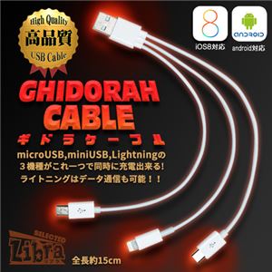 （まとめ）Libra ギドラケーブル ライトニング／microUSB／miniUSB LBR-GDRC【×10セット】