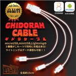 （まとめ）Libra ギドラケーブル ライトニング／microUSB／miniUSB LBR-GDRC【×10セット】