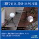 （まとめ）旭電機化成 防雨LEDセンサーライト 809994【×2セット】 - 縮小画像4