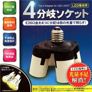 （まとめ）TOPLAND LED4分岐ソケットアダプタ M7043【×2セット】