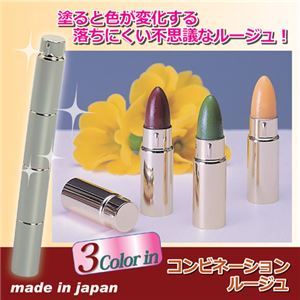 （まとめ）大阪化粧品 コンビネーションリップルージュ 809778【×3セット】 - 拡大画像