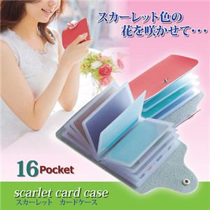 (まとめ)小島通商 スカーレット カードケース 810129【×5セット】 商品画像