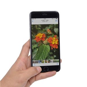 (まとめ)サンコー iPhone6/6sに戻るボタンを追加できる液晶保護ガラス SMRTP6RG【×2セット】 商品写真2