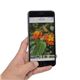 （まとめ）サンコー iPhone6／6sに戻るボタンを追加できる液晶保護ガラス SMRTP6RG【×2セット】 - 縮小画像4