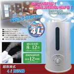 ウィキャン 超音波 4L 加湿器 809876