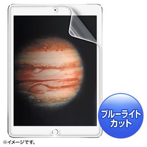 (まとめ)サンワサプライ iPadPro用ブルーライトカット液晶保護指紋防止光沢フィルム LCD-IPPBC【×2セット】 商品画像