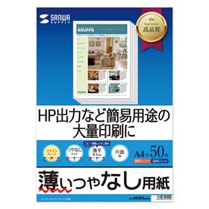 (まとめ)サンワサプライ インクジェットファイン用紙 JP-EM2NA4N【×10セット】 商品画像