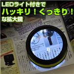 (まとめ)サンコー 充電式持たないラクラク拡大鏡 USBDH86H【×2セット】