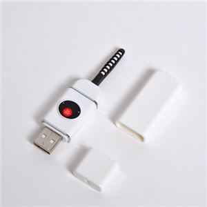 (まとめ)サンコー 目もとパッチリ！USB充電式まつげカーラー USBEYEL8【×2セット】 - 拡大画像