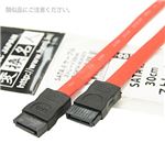 (まとめ)変換名人 SATA 2 ケーブル ストレート30cm SATA-IICA30/V【×10セット】