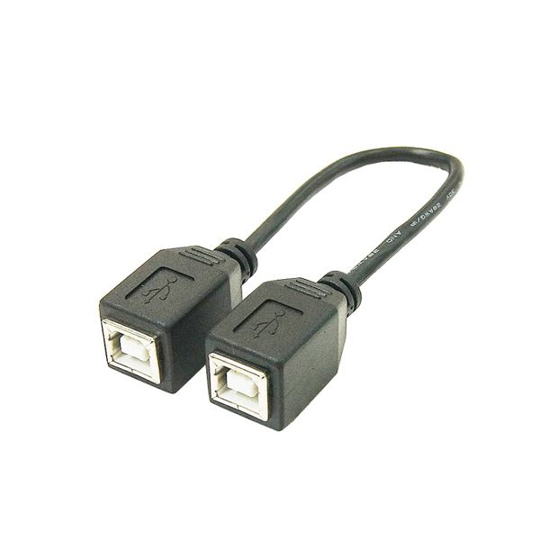 (まとめ)変換名人 USBケーブル20cm B(メス) to B(メス) USBBB-BB20(×10セット) b04