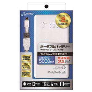 (まとめ)エアージェイ リチウムバッテリー5000mA MB-S5000【×2セット】 商品画像