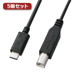 5個セット サンワサプライ USB2.0TypeC-Bケーブル KU-CB20X5