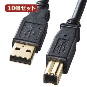 10個セット サンワサプライ USB2.0ケーブル KU20-06BKHK KU20-06BKHKX10