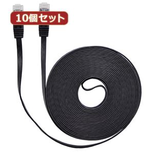 10個セット LANケーブル フラット CAT6 15m 黒 AS-CAPC009X10