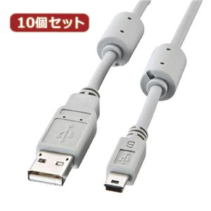 10個セット サンワサプライ ミニUSBケーブル（5.0m） KU-AMB550X10