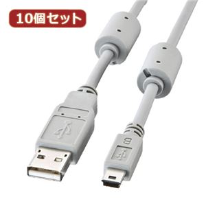 10個セット サンワサプライ ミニUSBケーブル（0.3m） KU-AMB503X10