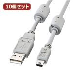 10個セット サンワサプライ ミニUSBケーブル（0.3m） KU-AMB503X10