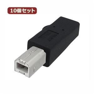 10個セット 3Aカンパニー USB2.0 microUSB（メス）-B（オス）変換プラグ USB変換アダプタ UAD-MCBB UAD-MCBBX10