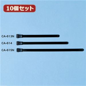 10個セット サンワサプライ ケーブルタイ（ワイド） CA-613N CA-613NX10