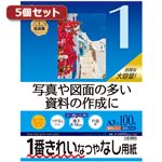 5個セットサンワサプライ インクジェット用スーパーファイン用紙A3サイズ100枚入り JP-EM5NA3-100X5