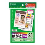 （まとめ） サンワサプライ カラーレーザー用フォト光沢はがき LBP-HK25KN 【×10セット】