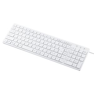 サンワサプライ USBスリムキーボード SKB-SL26W