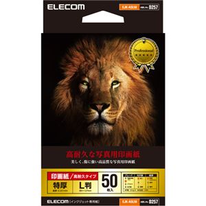 （まとめ） エレコム 光沢写真用紙／印画紙特厚／高耐久／L判／50枚 EJK-ASL50 【×5セット】