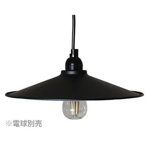 グローバルラン LEDペンダントライト マットブラックMサイズ（電球別売） P-300BK-C