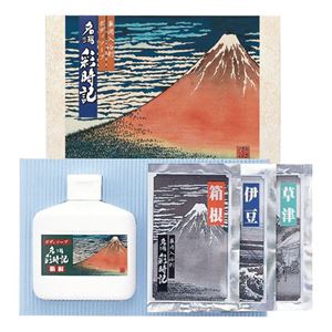 （まとめ）ボディソープ＆薬用入浴剤セット B2036624 B3035029【×5セット】