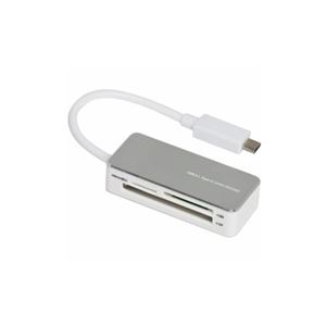 ナカバヤシ Type-C USB3.1マルチカードリーダー シルバー CRW-C33M66SL