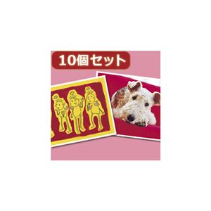 （まとめ）10個セットインクジェットプリンタ用紙・厚手（A6） JP-AGA6X10【×2セット】