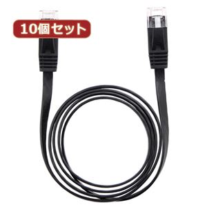 （まとめ）10個セット LANケーブル フラット CAT6 1m 黒 AS-CAPC001X10【×2セット】