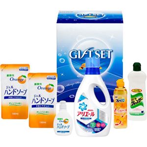 （まとめ）アリエール液体洗剤セット L2177075【×2セット】