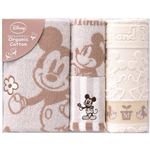 ディズニー ミッキー＆ミニー ナチュラルガーデン タオルセット C7111565 C8082066