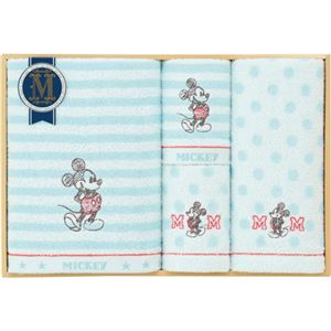 ディズニー グッドウィル タオルセット C8081147