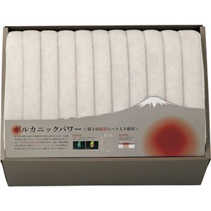 富士山溶岩シート入り敷パット L3196659