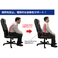 �T���R�[ ���N���N�ȍ��T�|�[�g�O�b�Y LUMBAR MATE