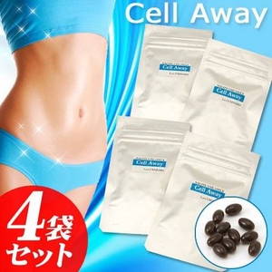 �Z���A�E�F�C �T�����v���~�A���y4�܃Z�b�g�z