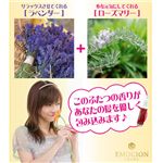 �G���V�I�� �摜4