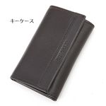Samsonite���׾�ʪ��������������CAS-4993