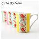 Cath Kidston�ʥ��㥹���åɥ���ˡ��ޥ����åס�4�ĥ��åȡ�Gingham Boxset