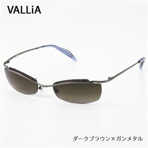 VALLiA サングラス 103-2 ダークブラウン×ガンメタル - 拡大画像